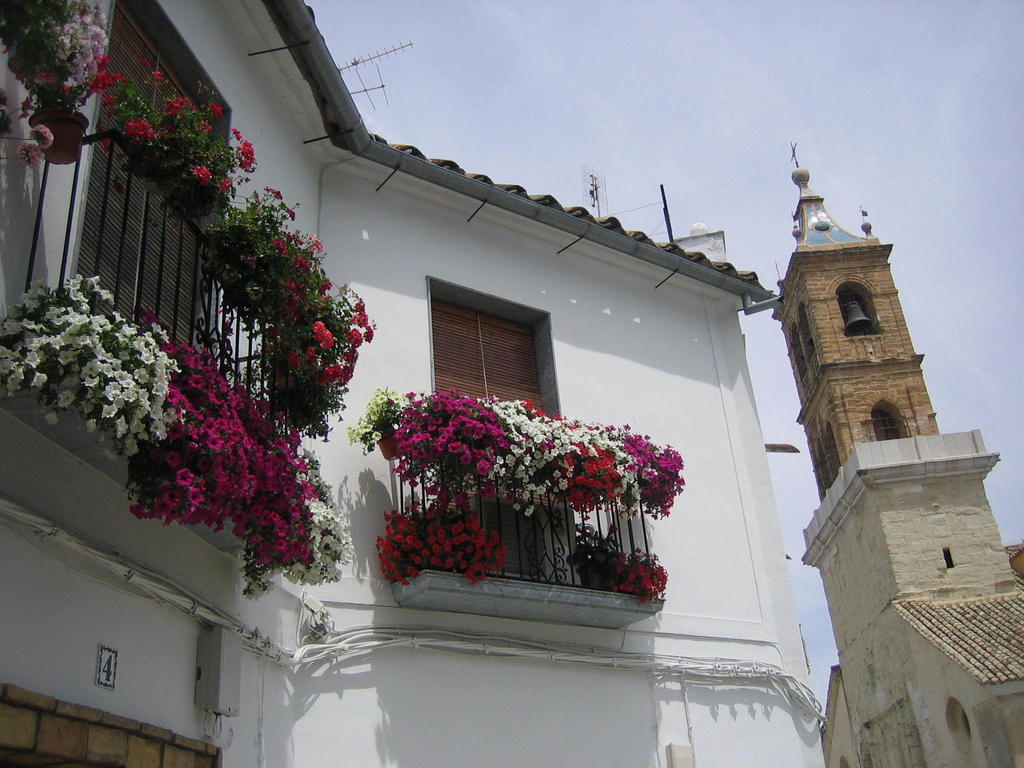 Casa Rural La Villa Castro del Río Oda fotoğraf