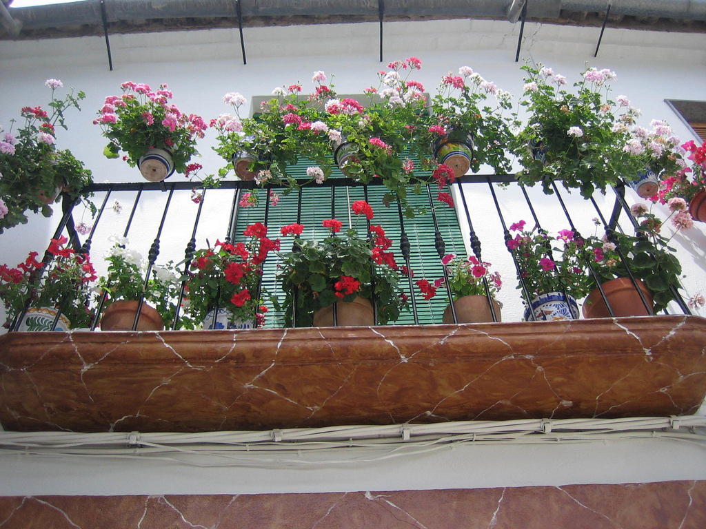 Casa Rural La Villa Castro del Río Oda fotoğraf